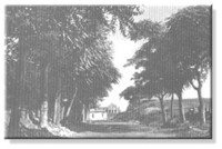 /album/galleria-fotografica/a24-jpg/