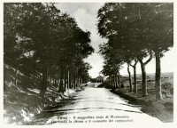 /album/galleria-fotografica/a72901-4942864382586-437506469-n-jpg/