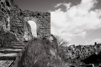 /album/galleria-fotografica/a532512-601108083262754-414118893-n-jpg/