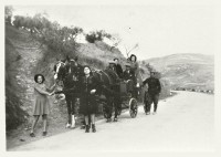 /album/galleria-fotografica/a600473-4942861782521-367650173-n-jpg/