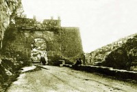 /album/galleria-fotografica/a733781-424032231042916-1384308915-n-jpg/