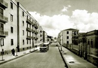 /album/galleria-fotografica/a1001416-638506519493484-1093697028-n-jpg/