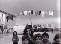 /album/galleria-fotografica/a1013213-638558539488282-774915529-n-jpg/