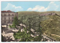 /album/galleria-fotografica/a1095094-647849831891869-306083050-n-jpg/