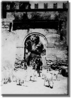 /album/galleria-fotografica/a1146632-424031164376356-741652488-n-jpg/